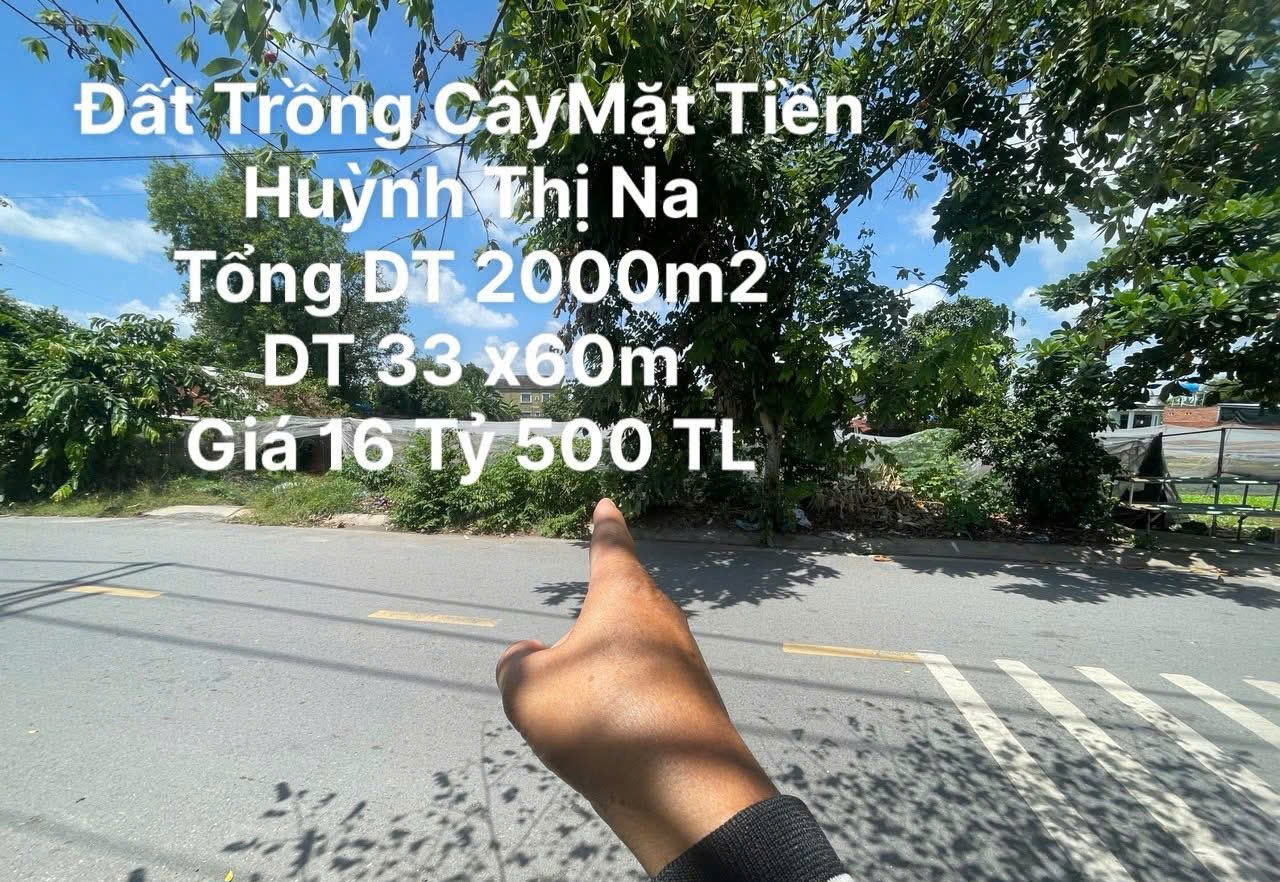  Đất Mặt tiền Huỳnh thị Na Hóc Môn TP.HCM 1973m2 có 16,5 tỷ 
