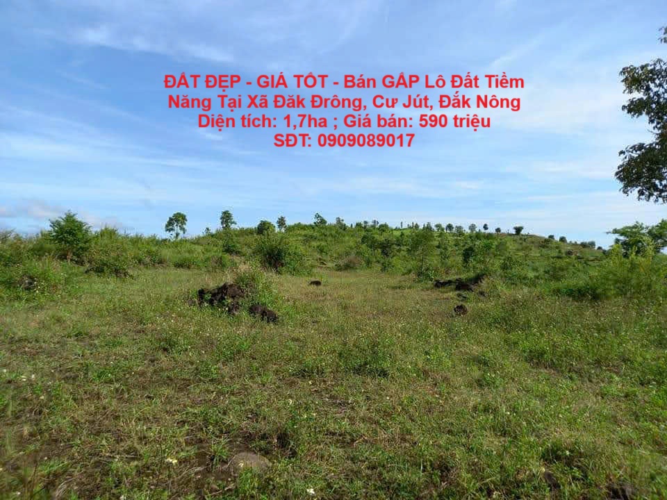  ĐẤT ĐẸP - GIÁ TỐT - Bán GẤP Lô Đất Tiềm Năng Tại Xã Đăk Đrông, Cư Jút, Đắk Nông 