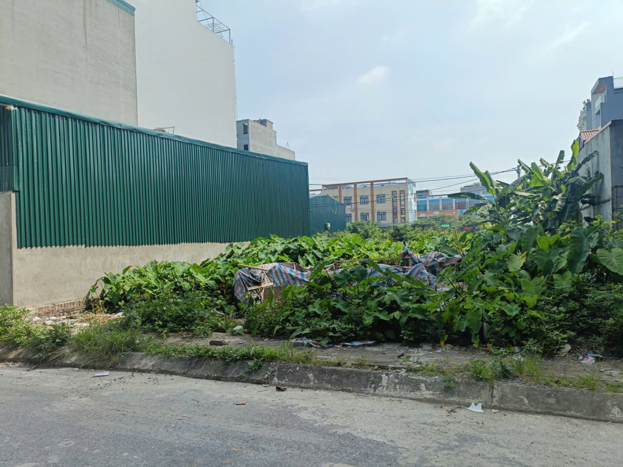  ĐẤT D.VỤ 5,5HA TRẠM TRÔI  140M, VỈA HÈ, 2 ÔTÔ TRÁNH  GIÁ 133 Tr/m2 