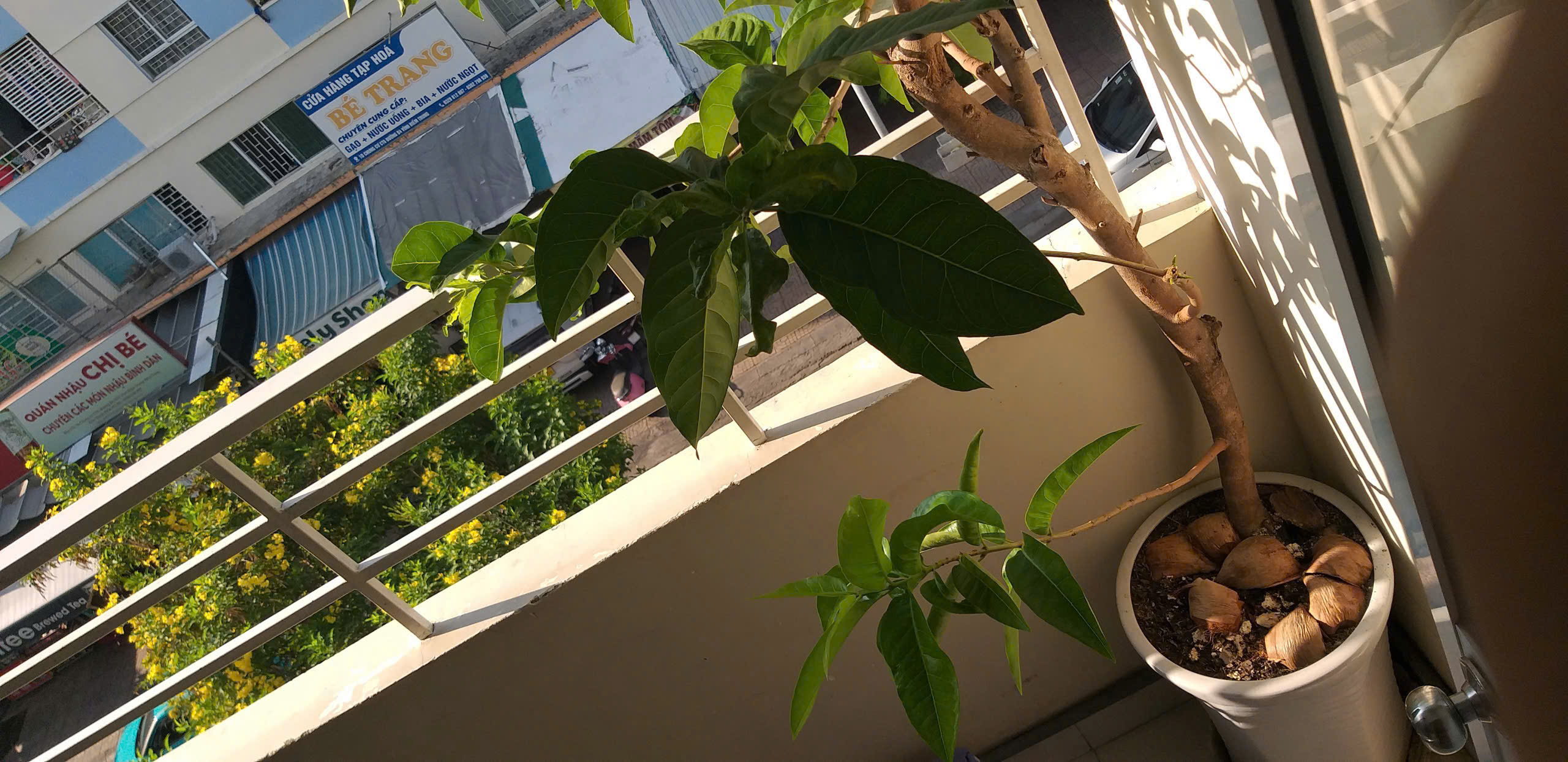  BÁN CĂN HỘ CT5 – VĨNH ĐIỀM TRUNG, NHA TRANG
Diện tích: 59,4m² Giá bán: 2,1 tỷ lh e Hải 