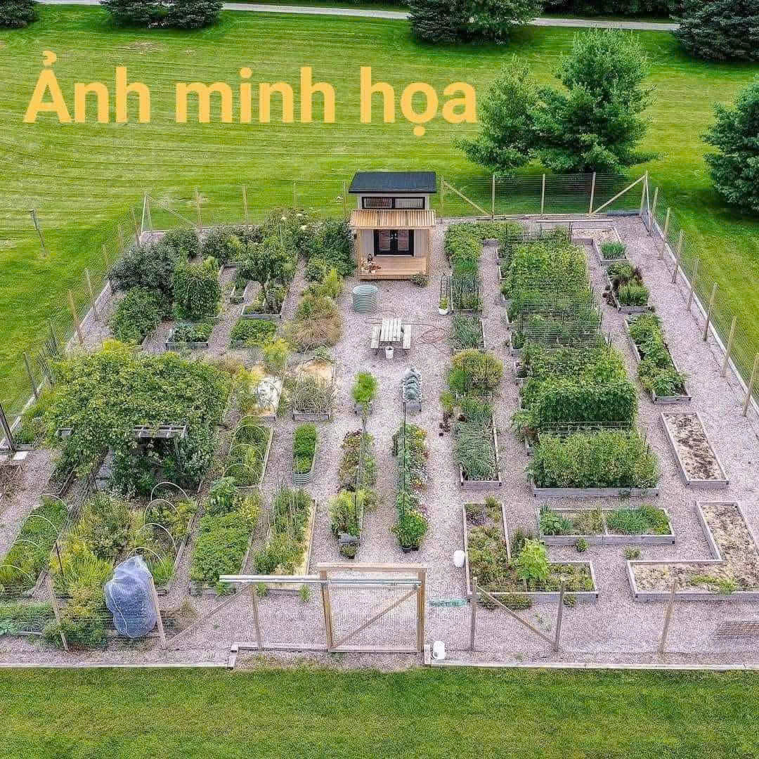  CƠ HỘI SỞ HỮU LÔ ĐẤT ĐẸP GẦN ĐƯỜNG VÀNH ĐAI – GIÁ CHỈ 10 TRIỆU/M2 