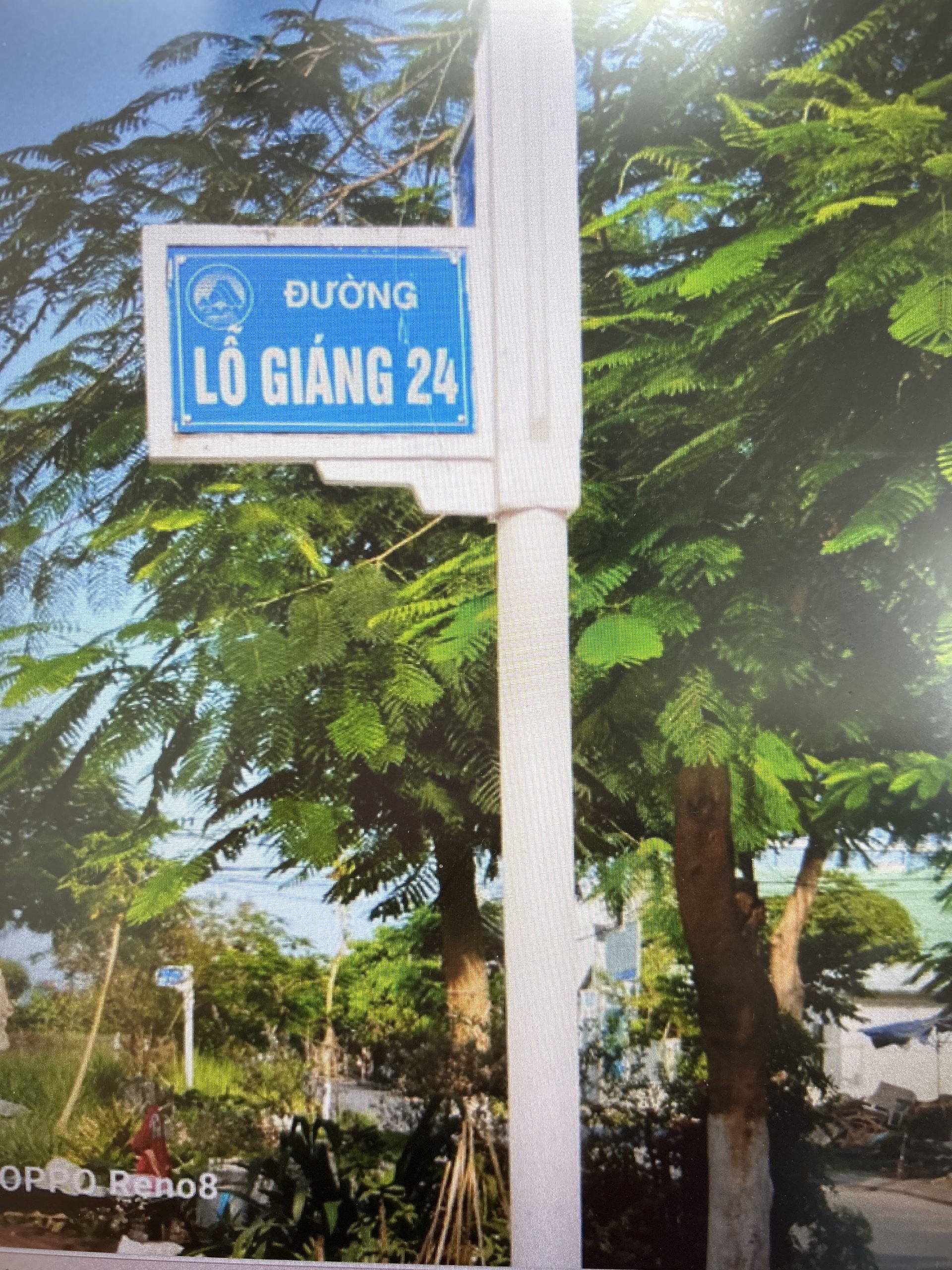  BÁN NHANH LÔ ĐẤT VUÔNG NÉT ĐƯỜNG LỖ GIÁNG, GIÁ RẺ NHẤT THỊ TRƯỜNG 