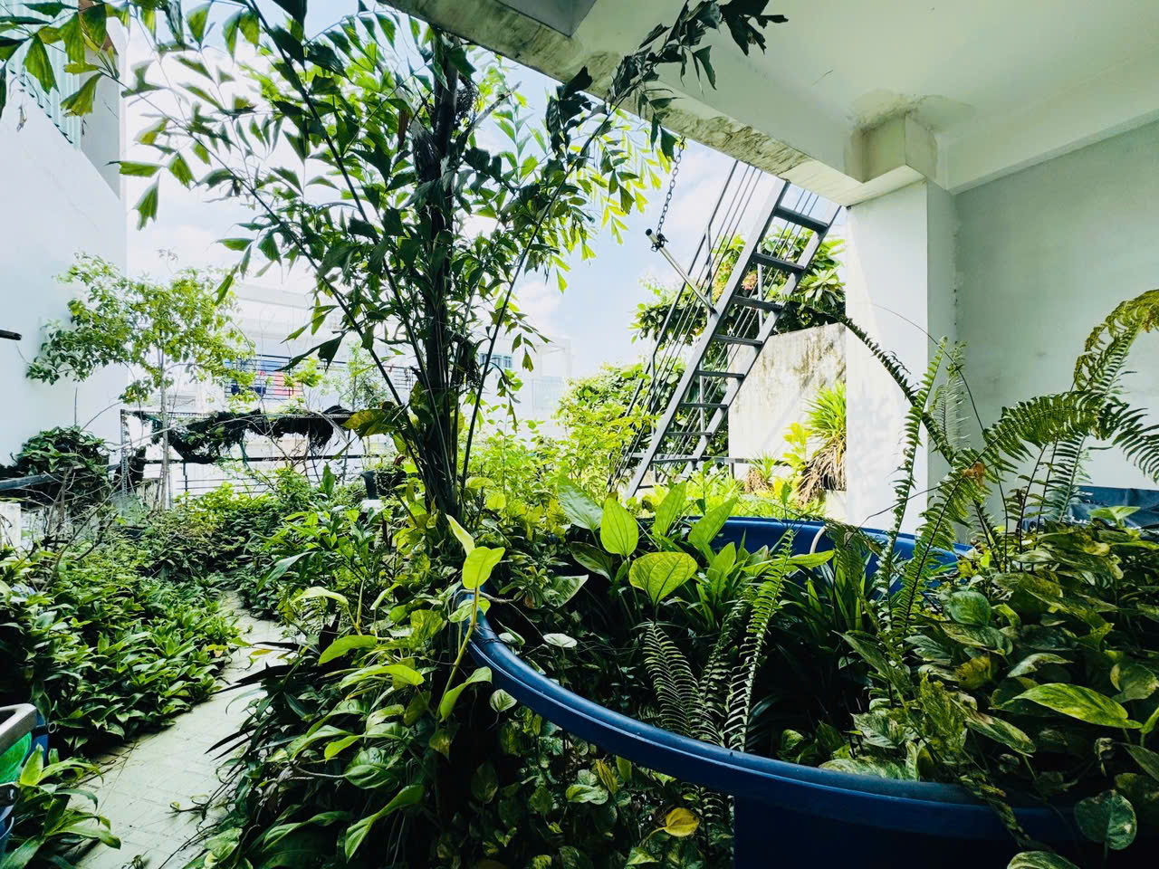  NHÀ ĐẸP CHÍNH CHỦ LÂU NĂM - HUỲNH VĂN BÁNH - PHÚ NHUẬN - 80M2 - NGANG 5 - 4 TẦNG BTCT - ĐỊNH CƯ BÁN 12.49 TỶ - TL TỐT 