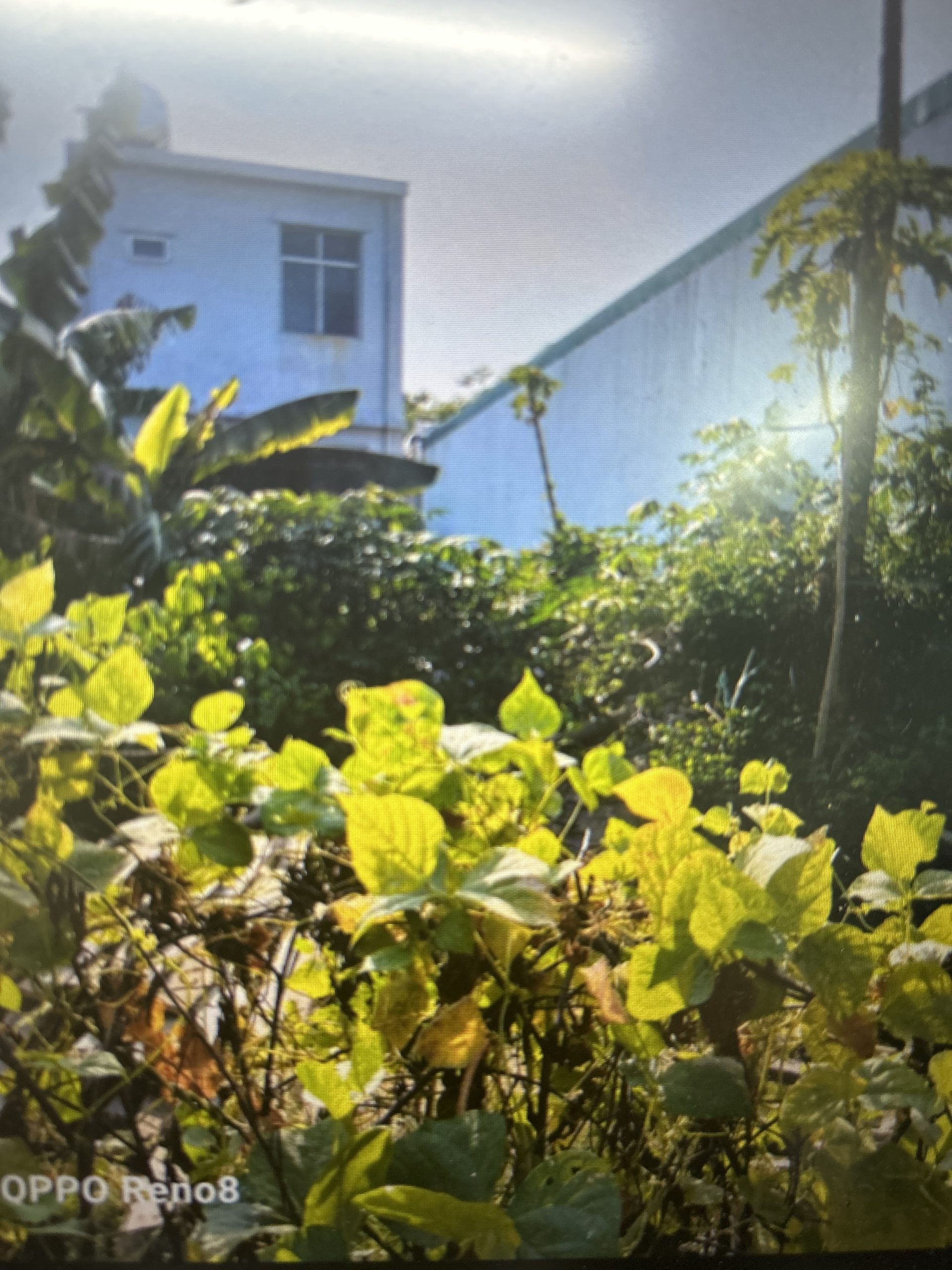  BÁN LÔ ĐẤT MẶT TIỀN ĐƯỜNG LÊ TRỌNG TẤN 