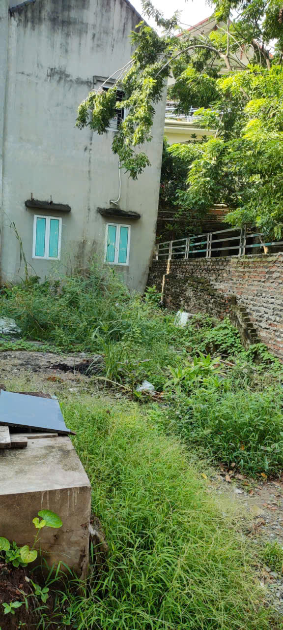  ???????????? BÁN ĐẤT ĐẤU GIÁ LẠC THỊ – 65M², MẶT TIỀN 5,5M(GIÁ : NHỈNH  7 TỶ) – Ô TÔ QUA NHÀ ???????????? 
