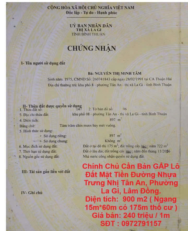  Chính Chủ Cần Bán GẤP Lô Đất Mặt Tiền Đường Nhựa Trưng Nhị Tân An, Phường La Gi, Lâm Đồng. 