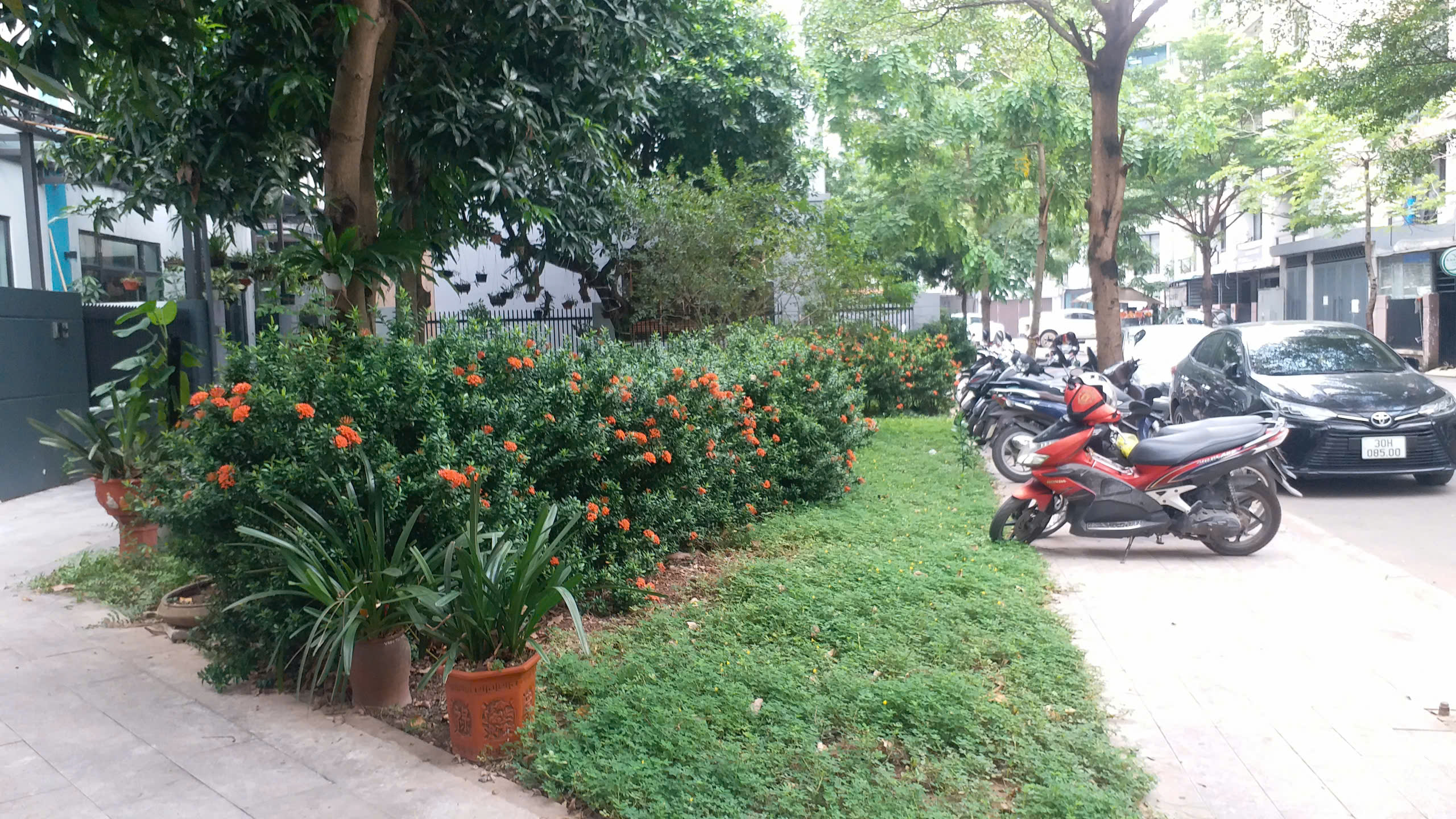  Cho thuê biệt thự 150m2 4 tầng gần Mỹ Đình, hoàn thiện đẹp, giá tốt 