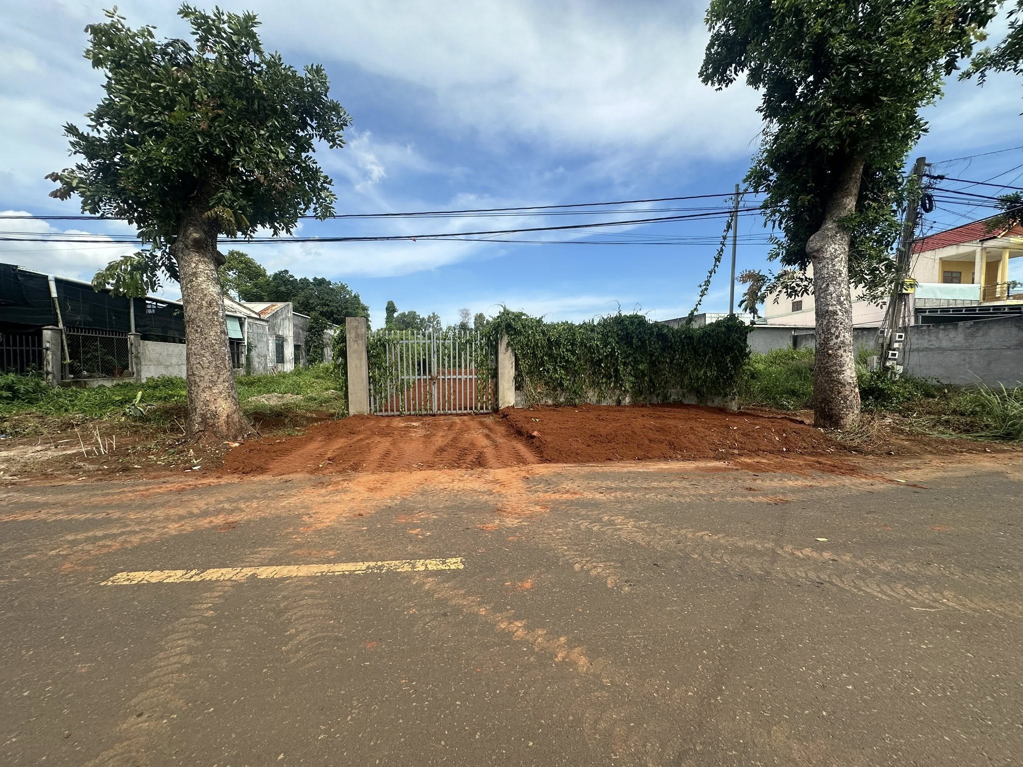  ???? BÁN ĐẤT MẶT TIỀN ĐƯỜNG NHỰA SỐ 45 – TRUNG TÂM XÃ HÒA LONG (PHƯỜNG TAM LONG, TP HCM) ???? 