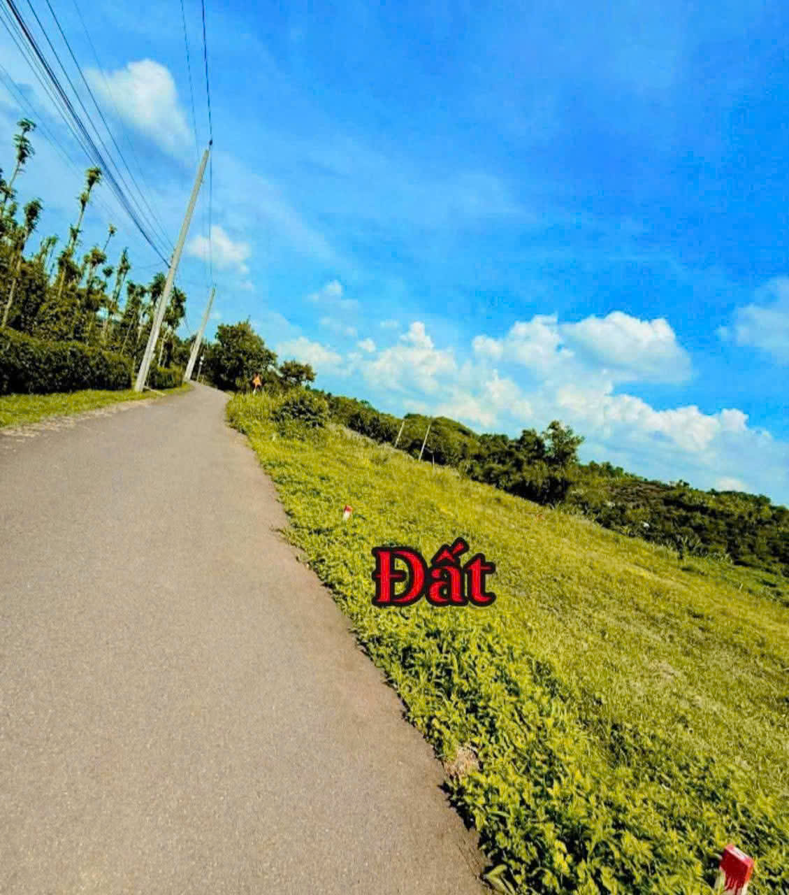  SỞ HỮU NGAY LÔ ĐẤT XÃ KIM LONG – TP.HCM MỚI (Châu Đức cũ, Bà Rịa - Vũng Tàu) 