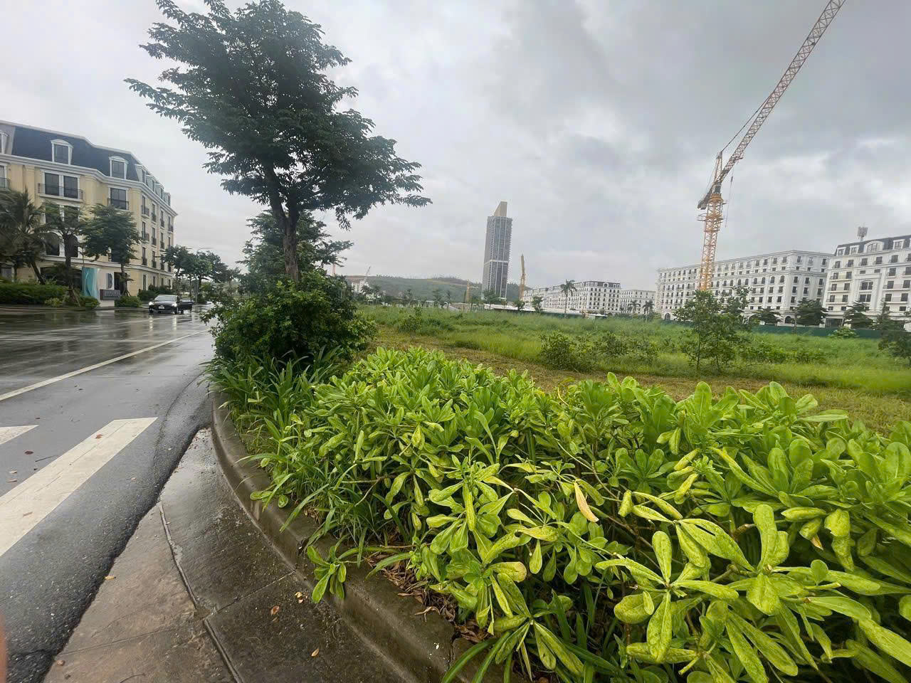  CƠ HỘI VÀNG ĐẦU TƯ – BÁN LÔ ĐẤT HƠN 4.000M2, VỊ TRÍ TRUNG TÂM HẠ LONG 