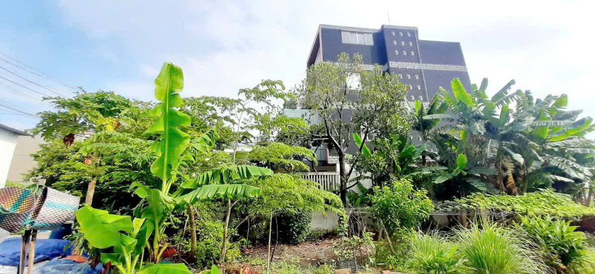  ĐẤT FULL THỔ CƯ THỚI TAM THÔN, HÓC MÔN – GẦN TÔ KÝ, ĐƯỜNG Ô TÔ GIÁ 6.5 TỶ 