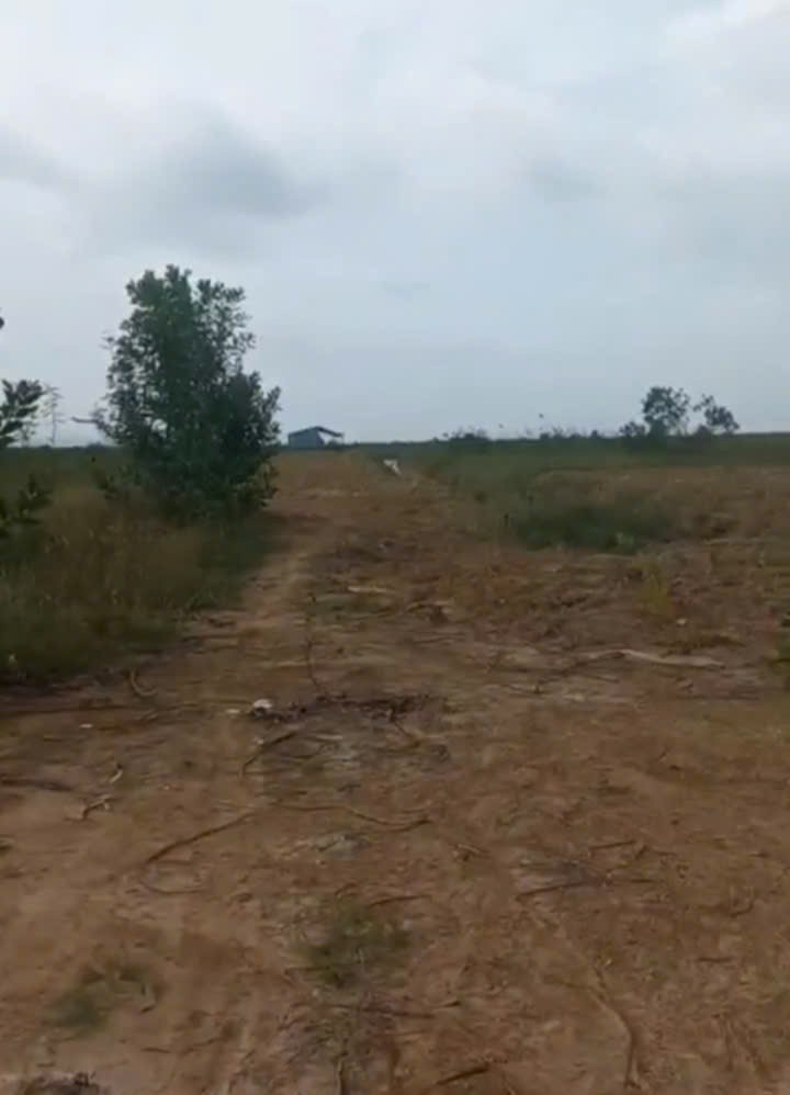  Cần bán đất 80 mẫu tại Vĩnh Cửu Đồng Nai  giá 6,4 tỷ có thương lượng 