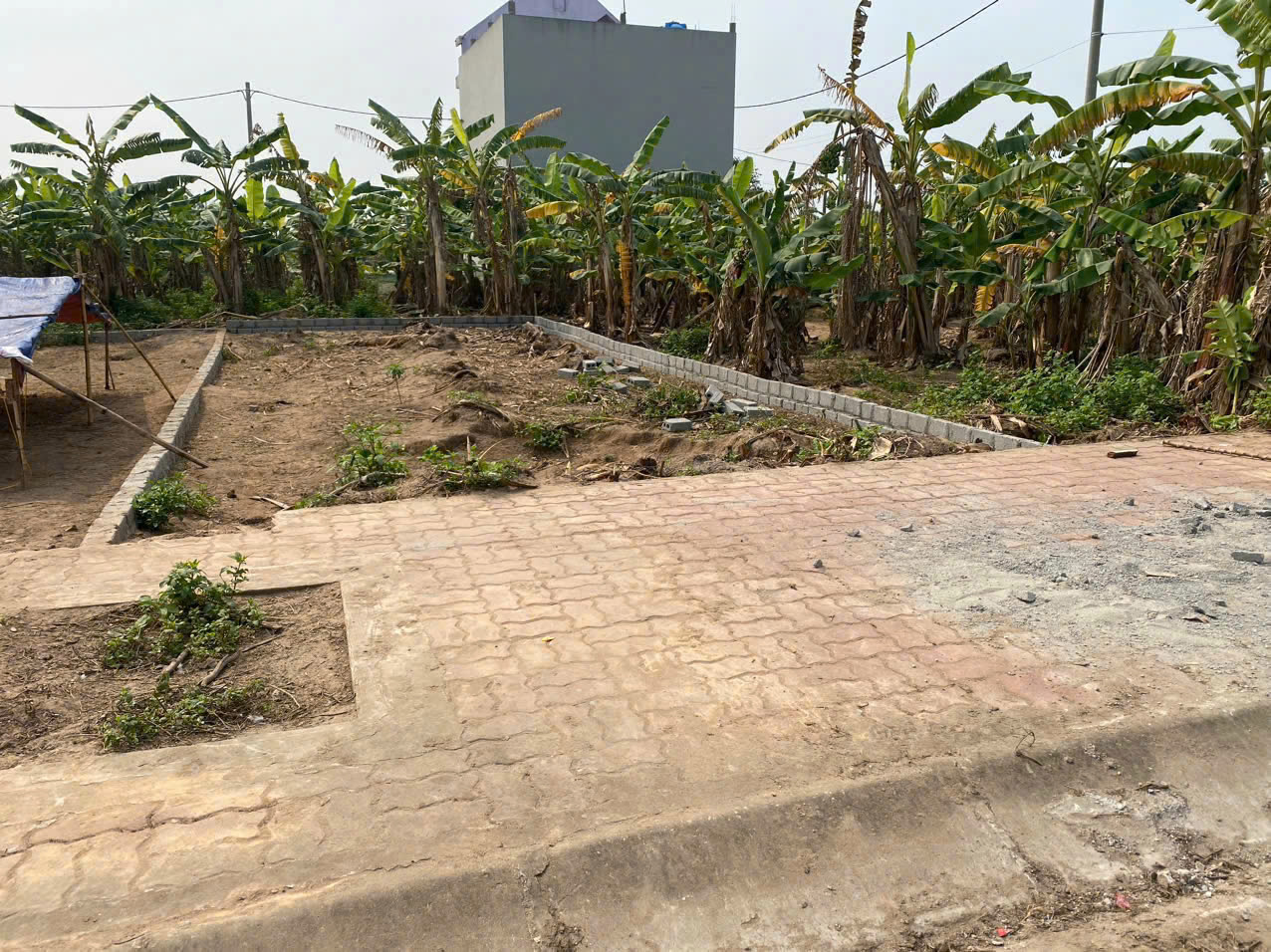  BÁN ĐẤT KHU GIÃN DÂN CHỢ BA ĐÔNG – PHAN SÀO NAM, PHÙ CỪ, HƯNG YÊN 