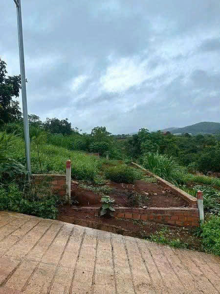  BÁN LÔ ĐẤT THỔ CƯ MÊ LINH - TÀ NUNG, ĐÀ LẠT - GIÁ CHỈ 480 TRIỆU 