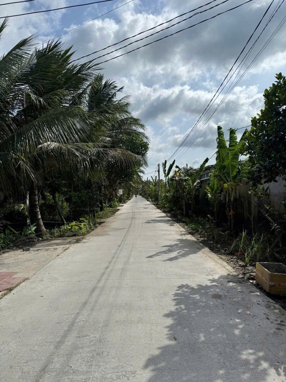  Chinh chu gửi ban lô đât mt dân 5m ,Phường Khánh Hậu, tinh Tây Ninh 