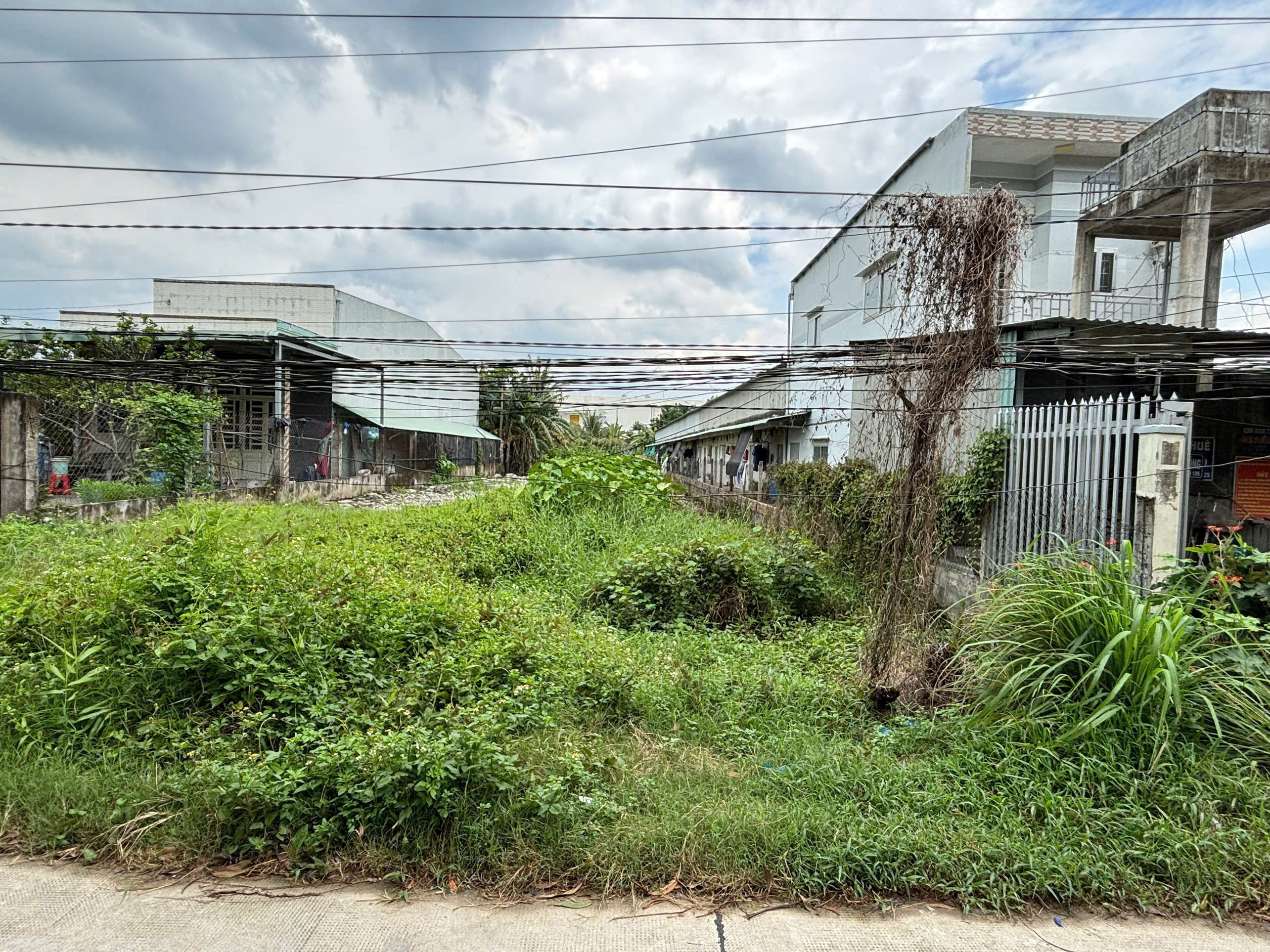  Chính chủ bán đất thổ + vườn Đường Rạch Cát,Lương Bình, Bến Lức, Long An 