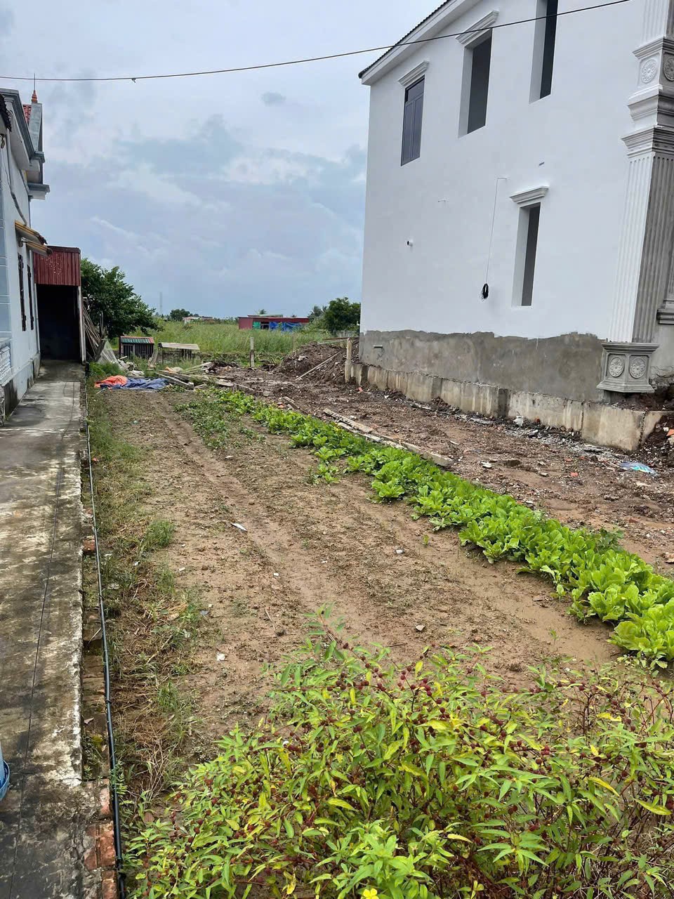  Đất hiếm mặt đường Quyết Tiến – Hợp Đức chỉ hơn 1,7x tỷ  ZALO 0567 222 555 