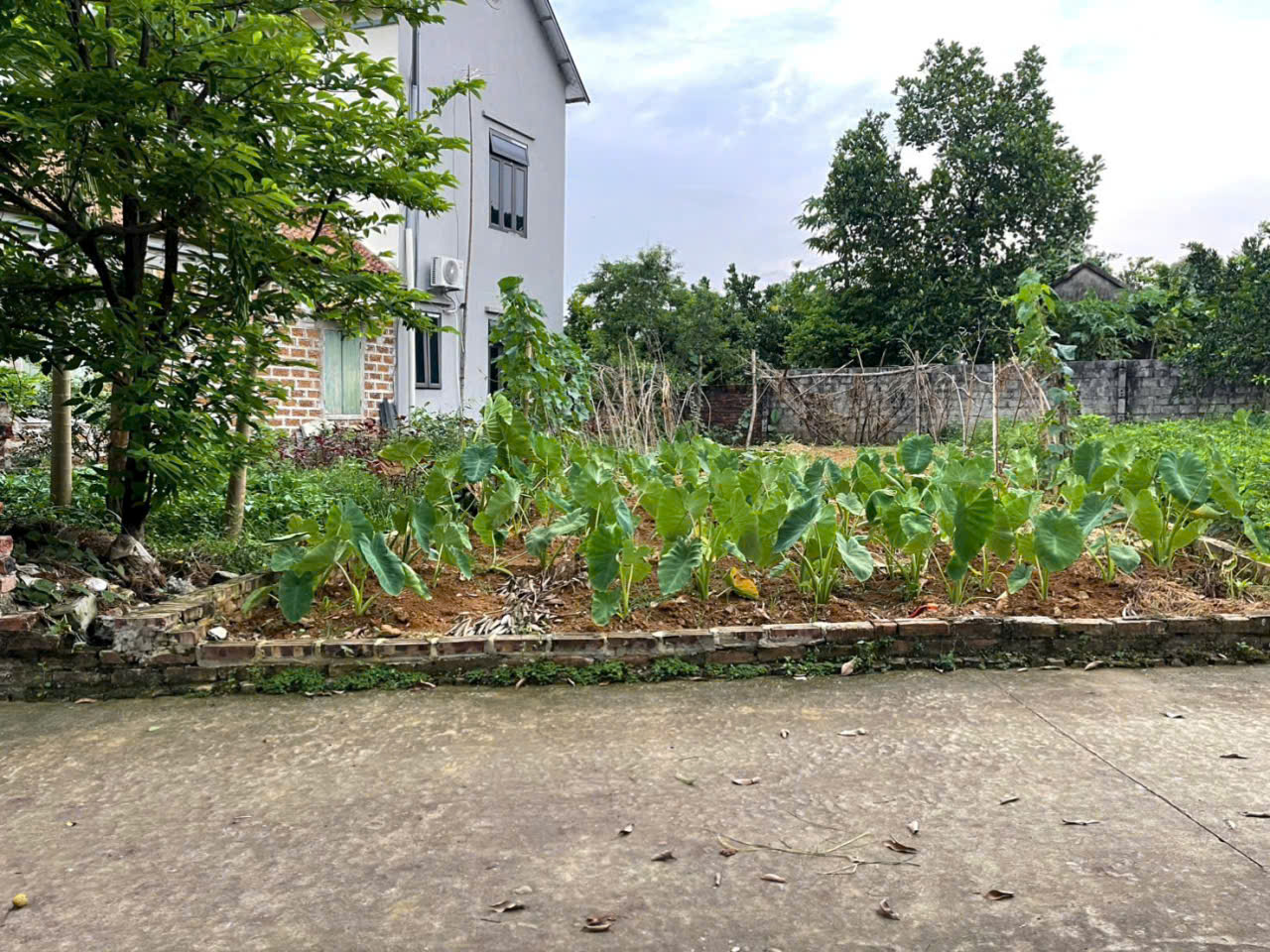  Chính chủ cần bán mảnh đất tại Yên Thái, Phù Cát (Đông Yên, Quốc Oai) Hà Nội 