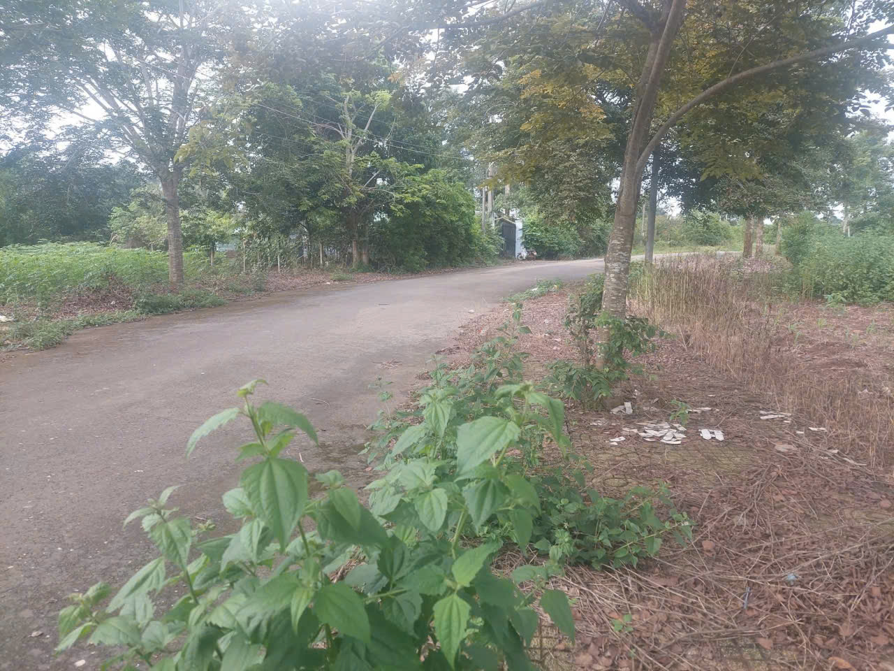  Chủ cần bán lô Đất ở đô thị,  diện tích 106m2; Giá: 1ty200 