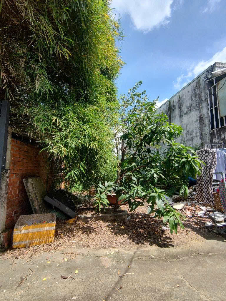  ???? BÁN ĐẤT MẶT TIỀN ĐÔNG THẠNH 3-2 – 111.8m² – CHỈ 3.9 TỶ 