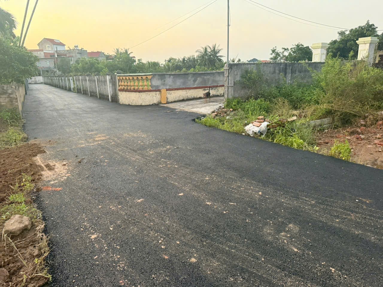  LÔ ĐẤT TUYẾN 2 ĐƯỜNG 361 – TÂN PHONG, KIẾN THỤY – ĐƯỜNG NHỰA Ô TÔ TRÁNH, GIÁ CHỈ 9XX  ZALO 0567 222 555 