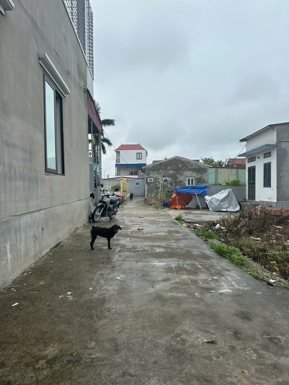  LÔ ĐẤT 85M² – TUYẾN 2 CỐC LIỄN, MINH TÂN – Ô TÔ TẬN NƠI, GIÁ 8XX TRIỆU  ZALO 0567 222 555 