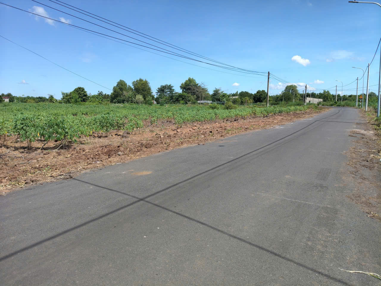  Sỉ 8 lô f0 
Ace ai cần bóc sĩ thì liên hệ . Giá rẻ 