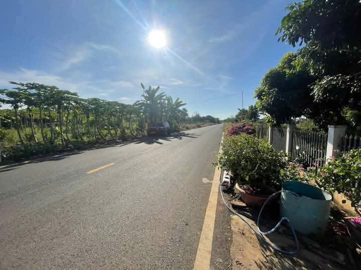  Chuyển chỗ ở cần bán nhà đất 11×45 80 thổ cư mặt tiền nhưa 12 m  giá 2ty4 còn  thương lương 