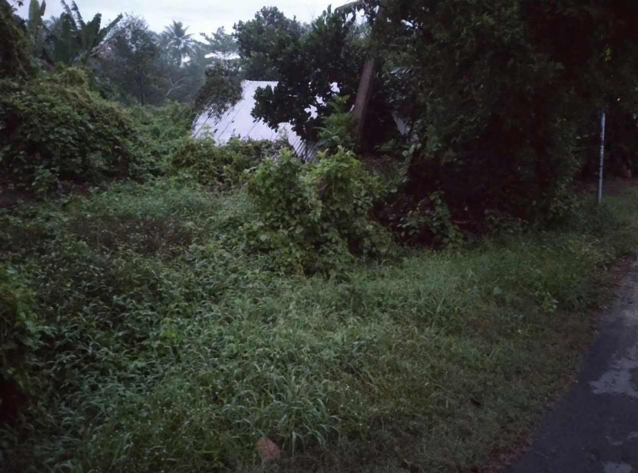  Chính Chủ Cần Bán 2000m2 Đất Vườn Tại 454, xã Tiên Long, Huyện Châu Thành, Bến Tre 