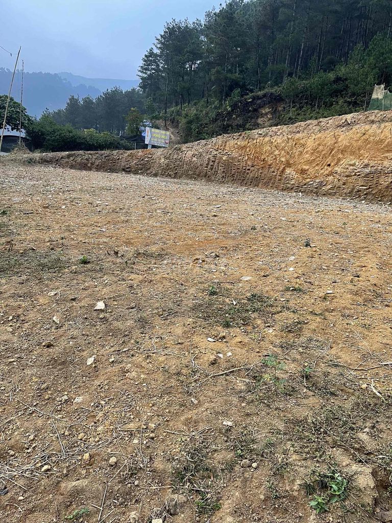  Gia đình cần chuyển nhượng 800m² đất vị trí đẹp tại trung tâm xã Tú Lệ, cách Le Charm Tú Lệ chỉ 300m. 