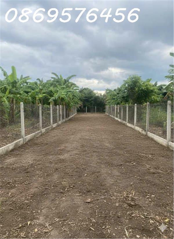  BÁN LÔ ĐẤT VƯỜN TẠI DIÊN KHÁNH, KHÁNH HOÀ 