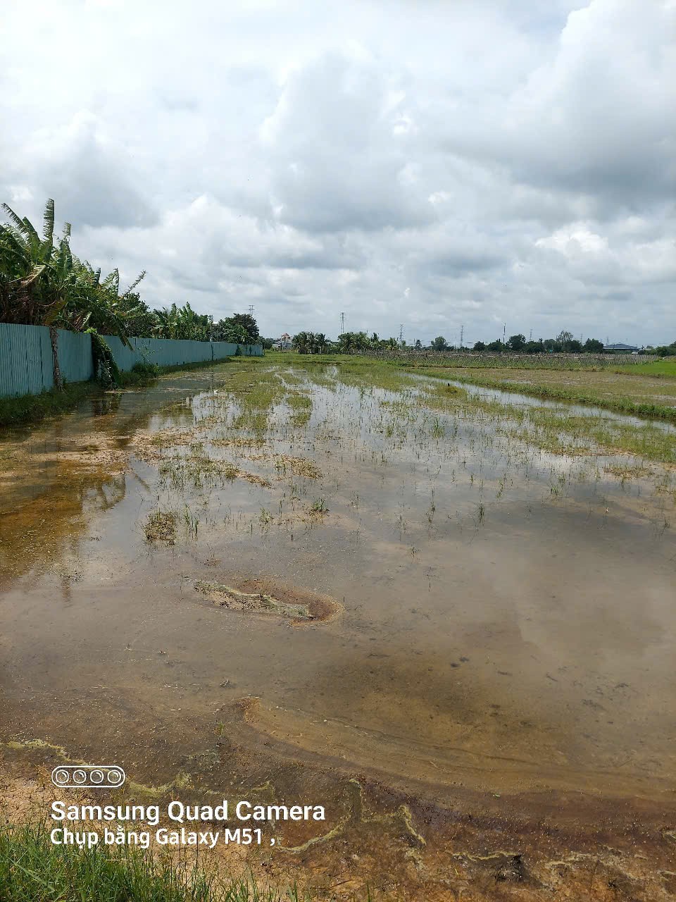  ĐẤT ĐẸP - CHÍNH CHỦ - GIÁ TỐT BÁN NHANH lô đất đẹp tiềm năng đầu tư tại huyện Củ Chi, TPHCM 