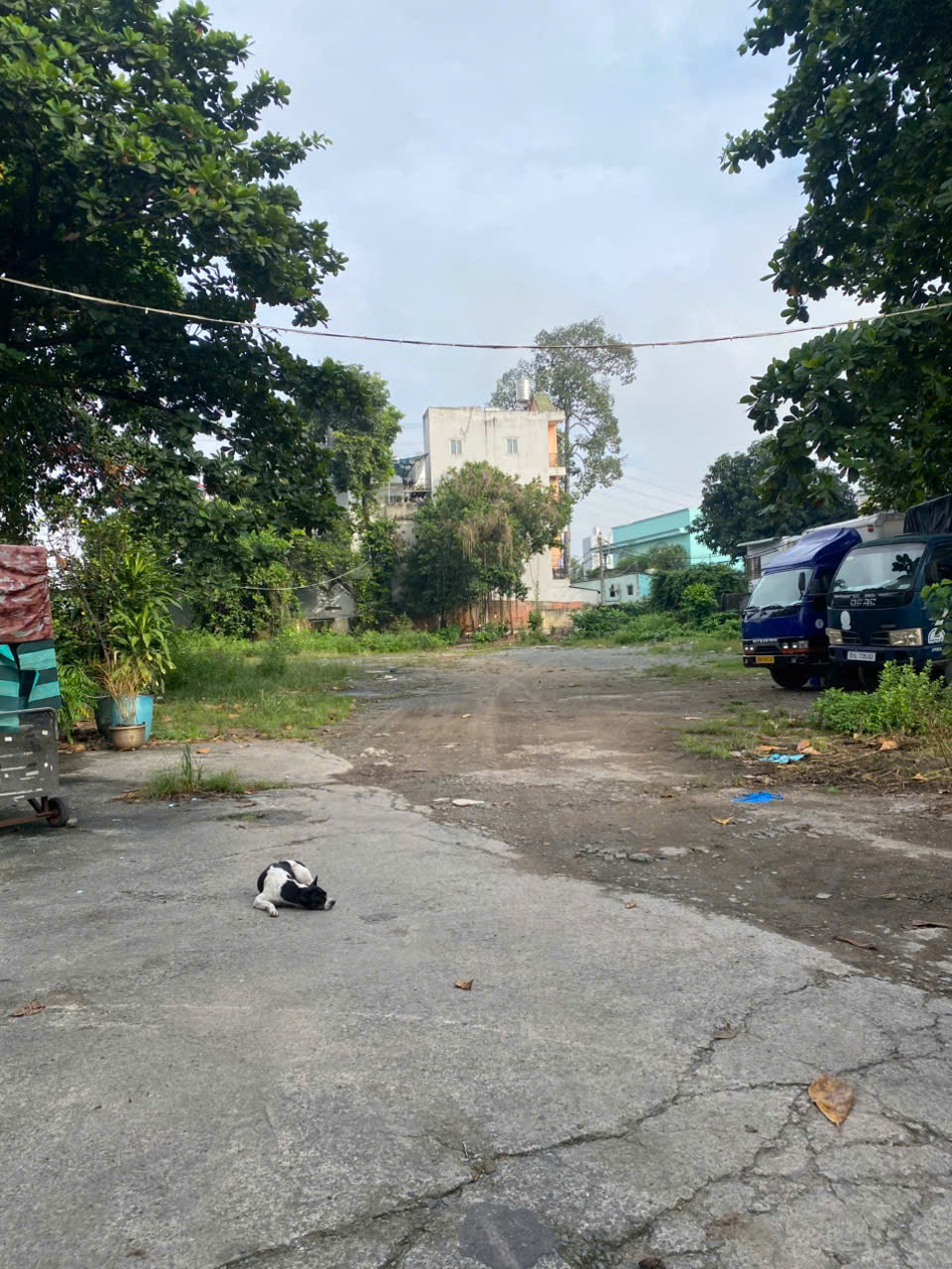  bán  lô đất góc 2MT Đường Nam Hoà - Đường 440, Phước Long A, TP Thủ Đức. 