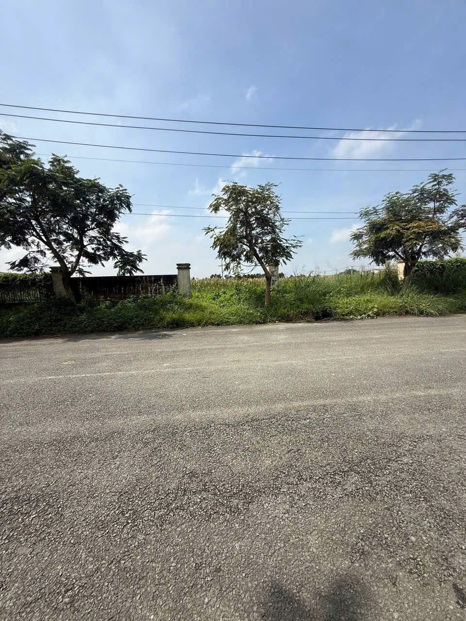  BÁN LÔ ĐẤT CÔNG NGHIỆP NHỊ XUÂN – HÓC MÔN – DT KHỦNG 7.700m² 