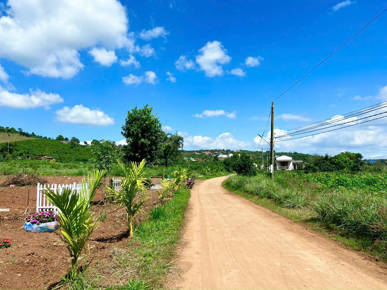  Bán đất 1000m2 sẵn 100m2 thổ cư tại Tân Hà-Lâm Hà khu dân cư hiện hữu chỉ 780tr 