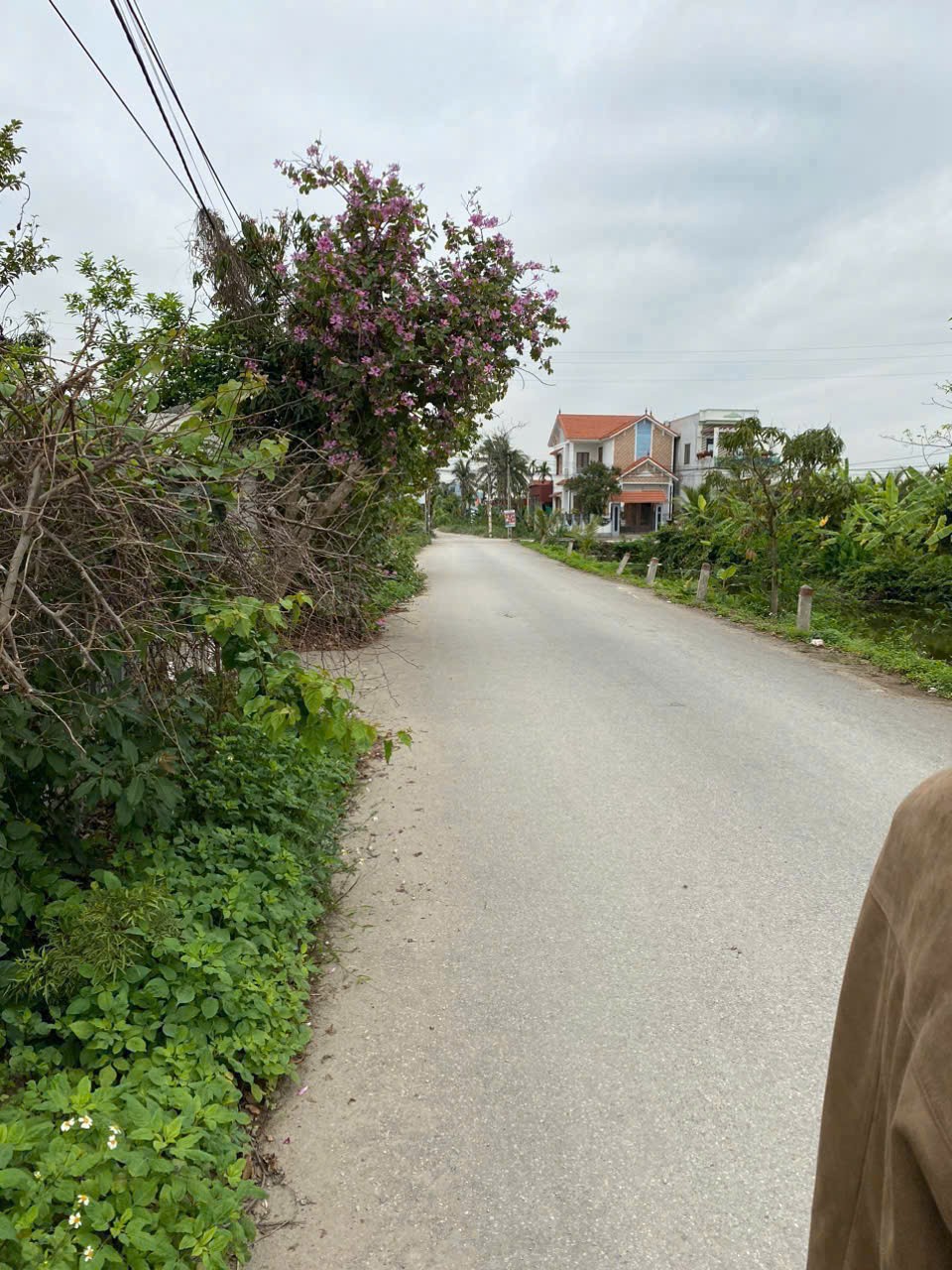  3,x TỶ - Siêu phẩm nhà vườn 583m² lô 2 trục Trung Nghĩa – Minh Đức Đồ Sơn  ZALO 0567 222 555 