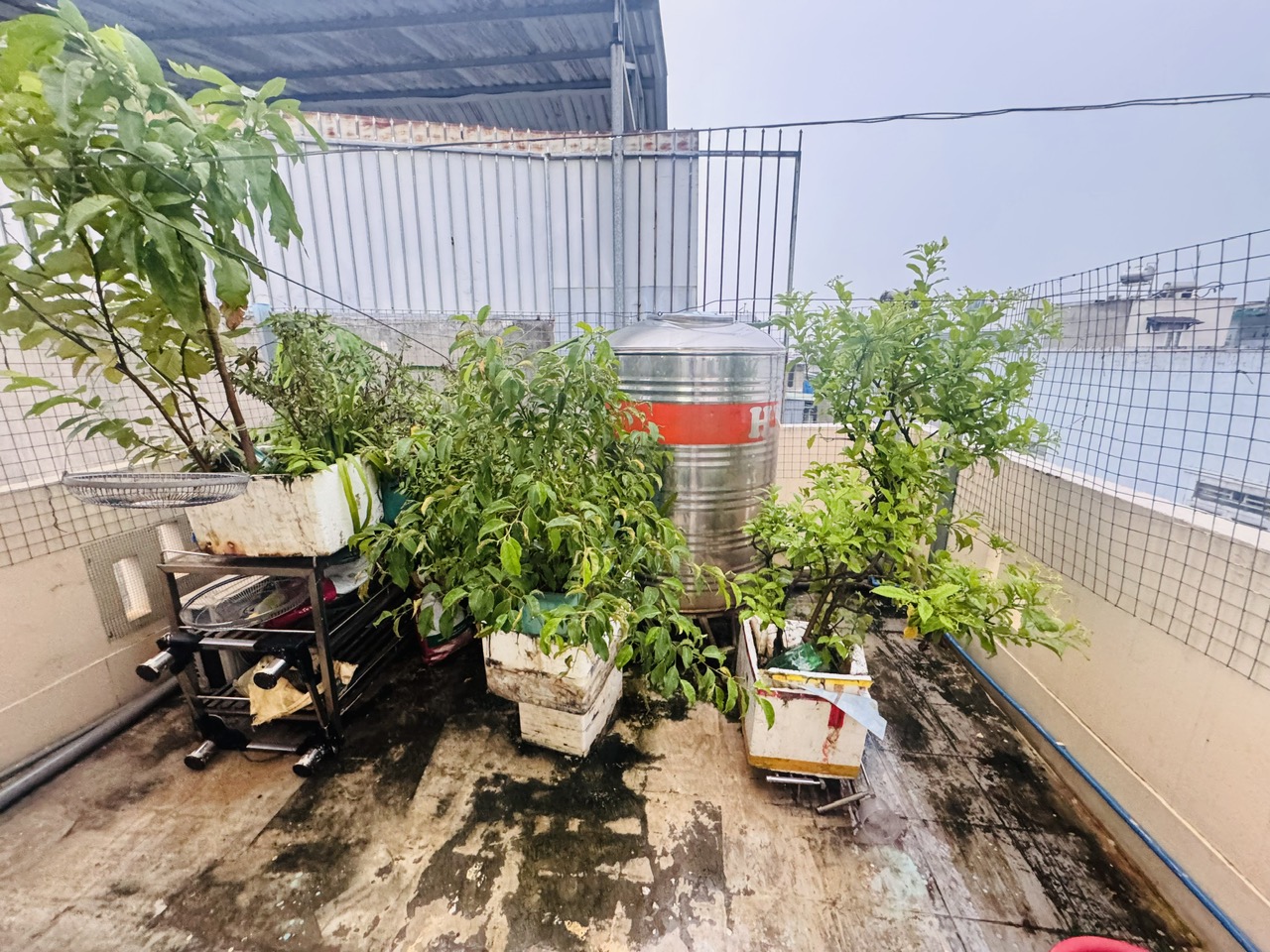  BÁN NHÀ MẶT TIỀN ĐƯỜNG SỐ  – P. TAM PHÚ, TP. THỦ ĐỨC – GIÁ CHỈ 5 TỶ 