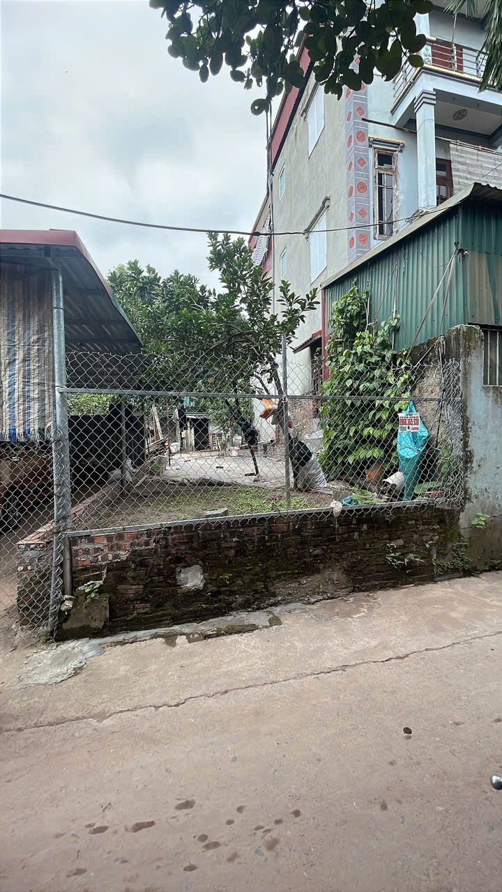  ANH ZAI MUỒN BÁN GẤP 60M ĐẤT ĐƯỜNG THÔNG OTO - GẦN HỒ ĐIỀU HÒA, NHÀ VĂN HÓA, TT XÃ HẤT MÔN - HÀ NỘI. QL 32 CHỈ 1KM 