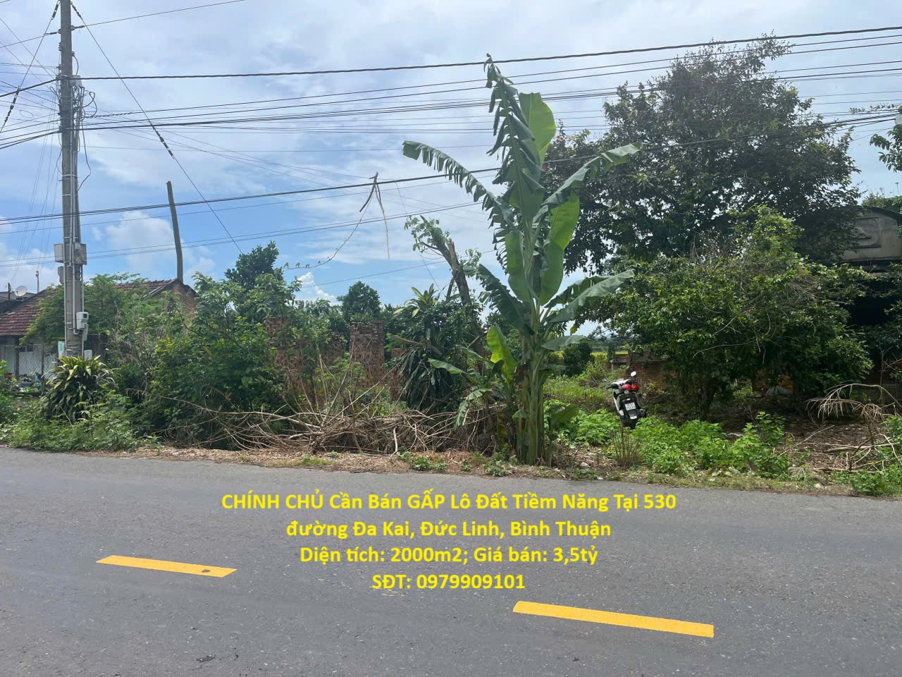  CHÍNH CHỦ Cần Bán GẤP Lô Đất Tiềm Năng Tại 530 đường Đa Kai, Đức Linh, Bình Thuận 