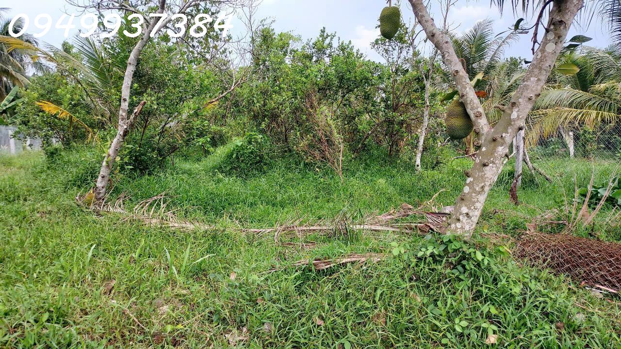  Chính chủ cần bán đất vườn tại xã Long Hưng, Châu Thành, DT 500m2, giá đầu tư 