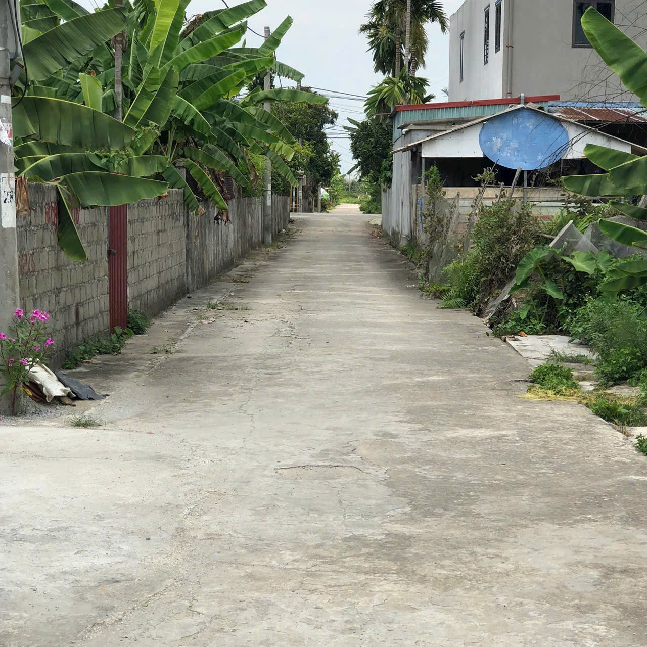  LÔ GÓC 2 MẶT NGÕ – SÁT TĐC GA HÒA NGHĨA – GIÁ CHỈ 1,8XX TỶ  ZALO 0567 222 555 