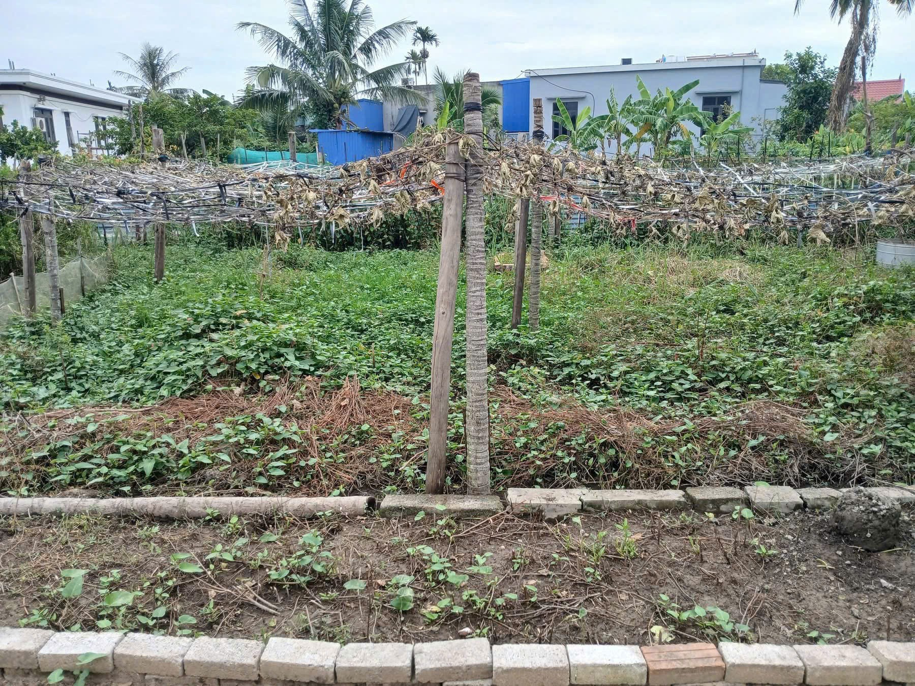  LÔ ĐẸP TRUNG TÂM HỮU BẰNG – GIÁ CHỈ 9XX TRIỆU  ZALO 0567 222 555 