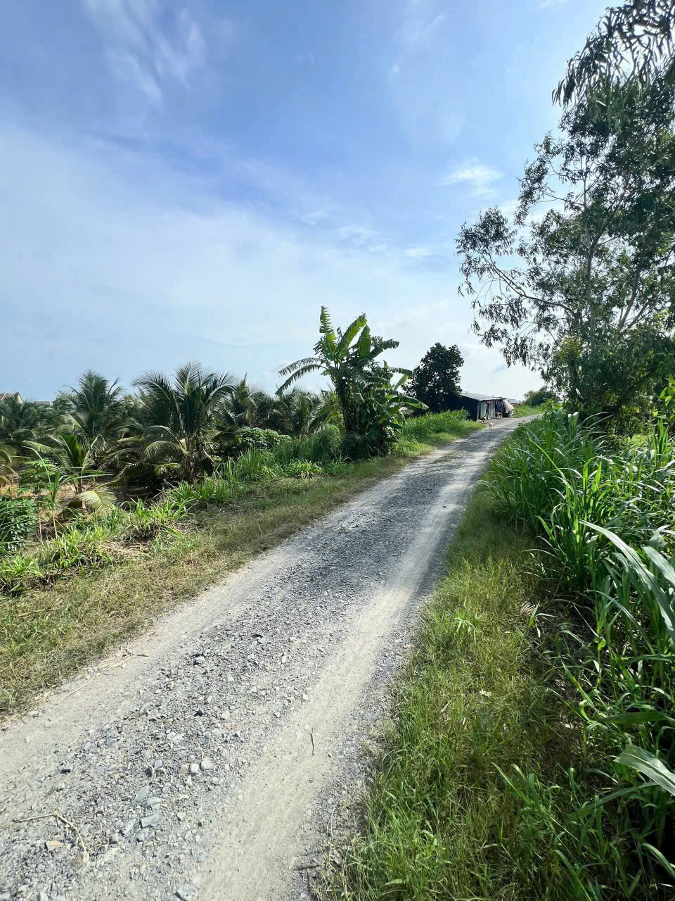  Giảm cực mạnh 50 triệu – Cơ hội đầu tư đất thổ cư SHR giá rẻ tại Châu Thành – Long An 