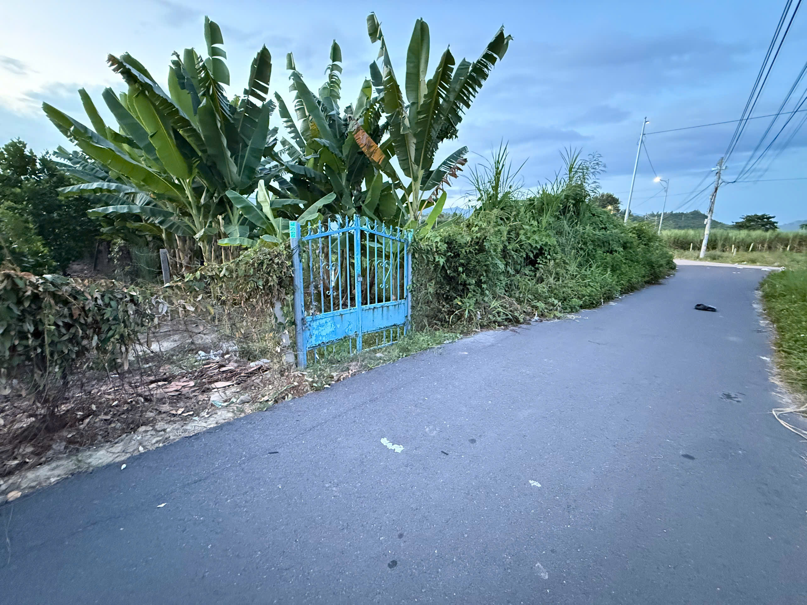  Bán lô đất 3 mặt tiền đường Thành Hồ - Diên Phước - Diên Khách 
Dt: 534m2( 70m2 thổ) Giá bán: 3ty750 ( bớt lộc , bao ra sổ ) 
mọi thông tin chi tiết vui lòng liên hệ e Số chứng chỉ: đang đợi cấp chứng chỉ mới , số chứng nhận: MG 25- 625 