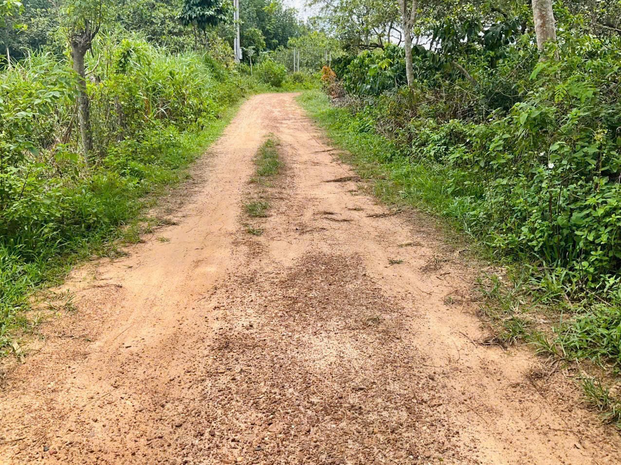  Cư Ni- Ea Kar dt 7200m2 full hồng 2 mặt tiền đường 160m sẵn nhà cấp 4 tiêu cho thu chỉ 1ty xx 