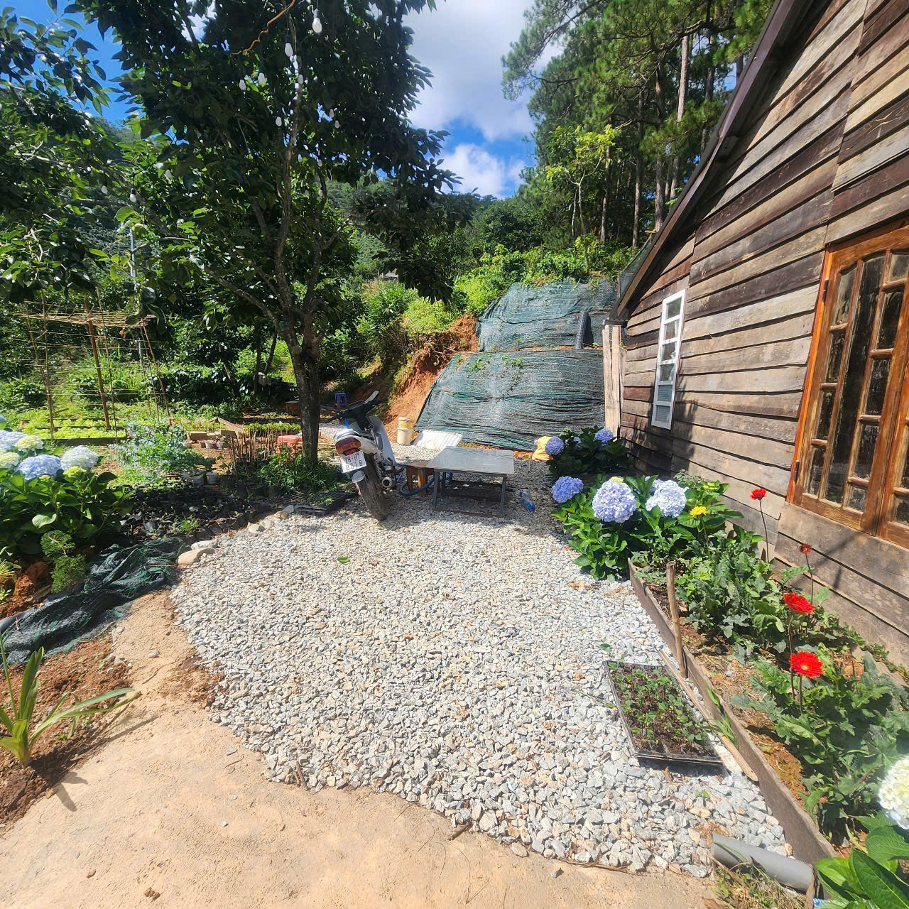  CHO THUÊ HOMESTAY TRẦN THÁI TÔNG PHƯỜNG 9  – ĐÀ LẠT 