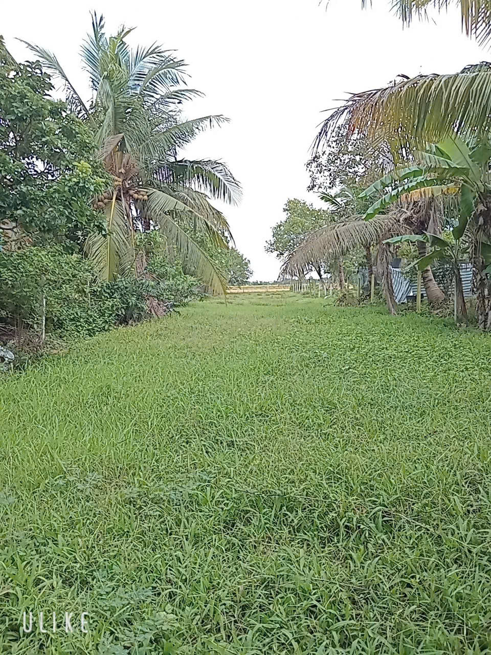  BÁN ĐẤT CHÍNH CHỦ CÓ VỊ TRÍ ĐẸP  – XÃ AN NINH ĐÔNG, ĐỨC HÒA, LONG AN 