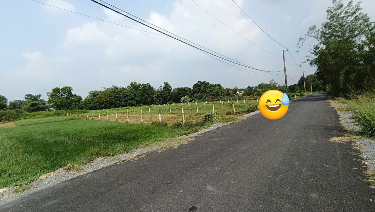  Chính chủ bán đất đường cây gõ, An phú, Củ Chi 