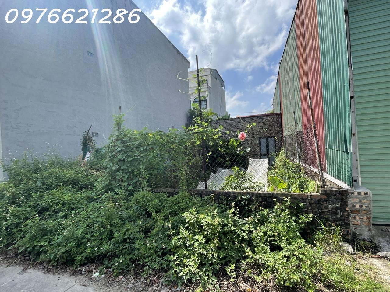  SIÊU HIẾM – Bán đất Giang Biên, ngõ ô tô, gần chợ Quán Tình Quang, 30m² giá 3,7 tỷ 