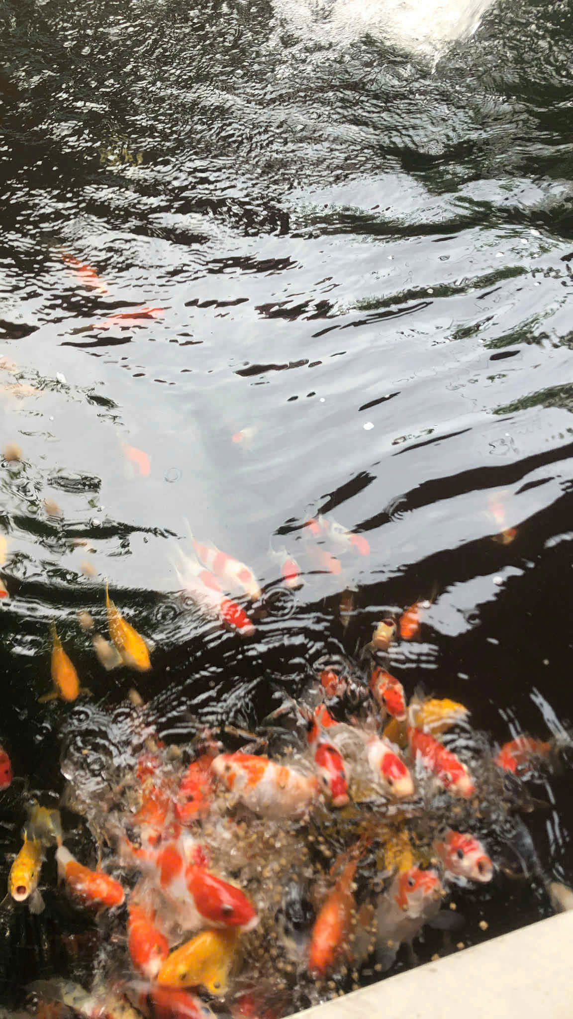  Bán Nhà Diên Toàn-Diên Khánh
DT: 188m2 Giá bán: 3,3tỷ có thương lượng 